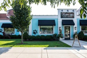Happy Dog Inn Happy Dog Hotel & Spa | We provide dog boarding in our all-suites dog ...